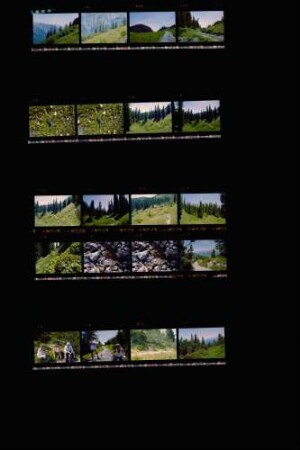 Landesschau-Bilder: Sommer