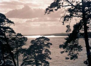Lindwerder: Wannsee, Havellandschaft bei Lindwerder