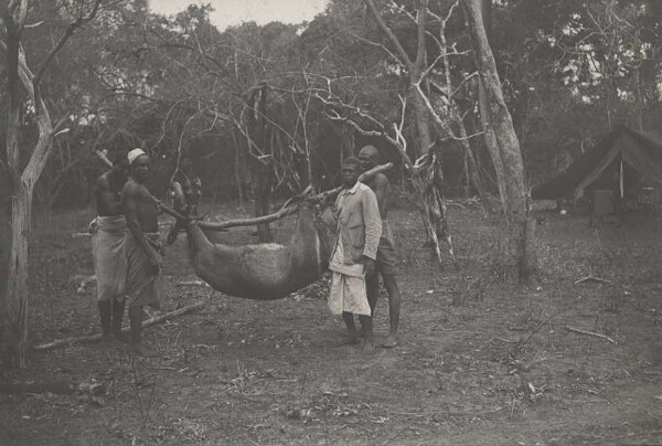 Niumrum Jyrbruh (weiblicher Wasserbock) = „ndogoro“ am Kiulimira Teich