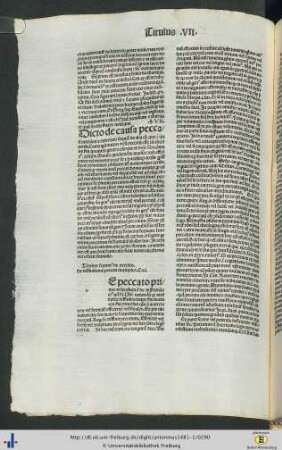 Titulus VII: De peccato in communi.
