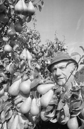 Landwirtschaftsamt Augustenberg