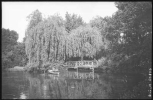Mittweida. Schwanenteich