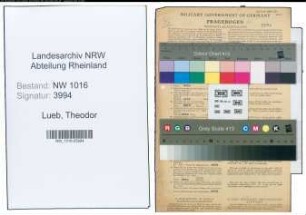 Entnazifizierung Theodor Lueb , geb. 12.06.1902 (Landwirt)