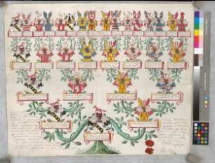 Proband: Vittinghoff gen. Schell, Hermann Arnold von; Vater: Vittinghoff gen. Schell, Arnold Johann von; Mutter: Galen, Theodora von: Mark, Grafschaft, Ritterschaft