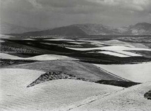 Felder und Ackerlandschaft südlich von Granada