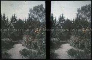 Blick in den Garten eines Hauses in Auerbach