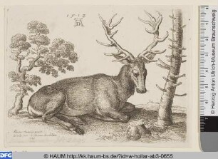 Liegender Hirsch