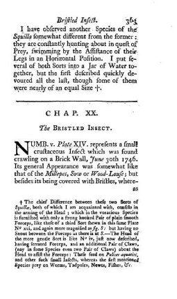 Chap. XX. The bristled Insect