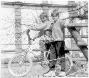 Zwei Jungen und ein Fahrrad auf einer Hängebrücke eines hölzernen Klettergerüstes (Altersgruppe bis 14)
