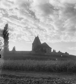 Panitzsch, Kirche : Panitzsch. Blick über Getreidefeld zu Kirche