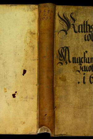 Ratsprotokolle, 1656 Juli 29. - 1657 Juli 17.