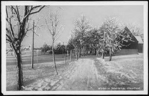 Schellerhau. Winter in Schellerhau