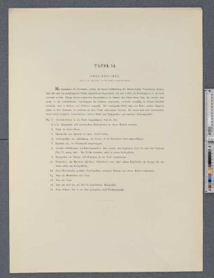 Tafel 34. Grab-Beigaben.