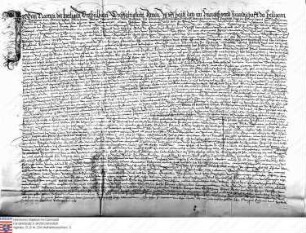 Kopie von Urkunde 253. Eheverabredung zwischen Philipp Wambold und Felicitas von Leiningen