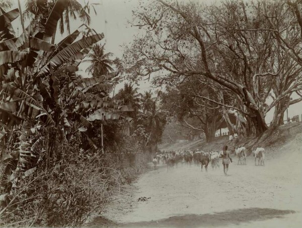 Rue du village (où ?)