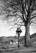 Kahler Baum und Marterl im Unteribental