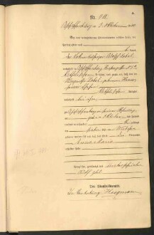 Standesamtsbuch der Stadt Aschaffenburg: Geburten 365/1900 - 184/1901