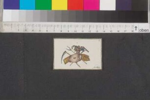 Einträge Bl. 1 - 16