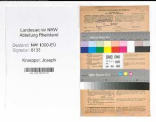 Entnazifizierung Joseph Krueppel, geb. 26.11.1898 (Steuerinspektor)