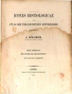 Icones histiologicae oder Atlas der vergleichenden Gewebelehre. 1, Der feinere Bau der Protozoen