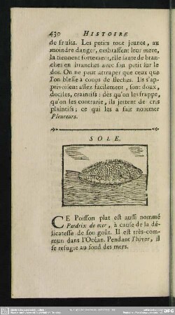 Sole