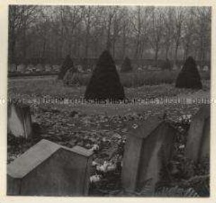 Frankenthal, Ehrenfriedhof