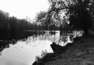 Backhausteich, Schloßteich; Darmstadt, Der Backhausteich Jagdschloß Kranichstein, Unter dem Backhausteich