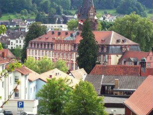 Stadtbild-Ansicht von Osten nach Südwesten mit Gräflich-Erbachschem Schloß in Übersicht