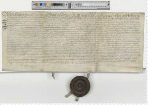 Die Ratsmannen Hieronimus Reuter und Joachim Botcher über die Zession einer Schuldverschreibung von 1617.