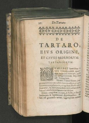 De Tartaro, eius origine, et causis morborum tartareorum