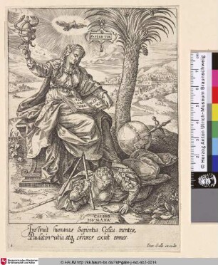[Sapientia und Caligo Humana]