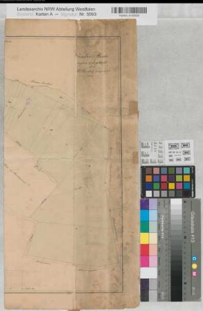 Wimbern (Wickede) Teilung der Wimber Heide (Bruchstück) 1817 100 rh. Ruten = 23 cm 49 x ... Zeichnung Th. Brockhof, Geometer KSA Nr. 316