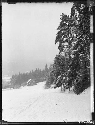 Jonsdorf, fallende Nebel