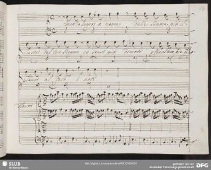 Recitativo: Anch'io signor a nome delle dame