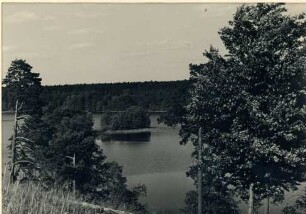 Fotografie, Driesen (Drezdenko)