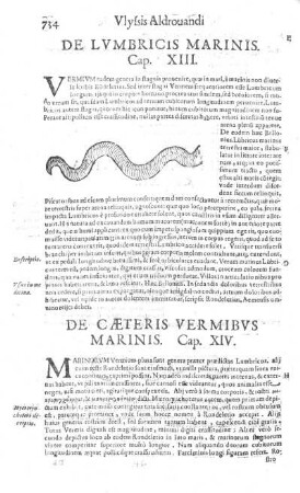 De Caeteris Vermibus Marinis. Cap. XIV.