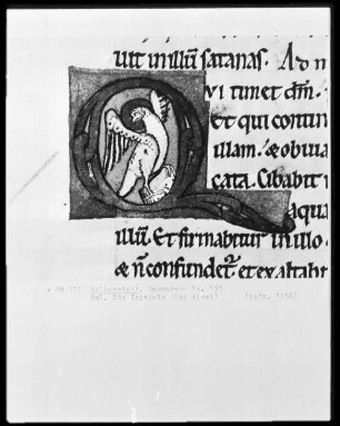 Lektionar, Ms. 132, folio 24 verso, Initiale Q(ui timet) mit Evangelistensymbol des Johannes