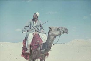 Reisefotos Ägypten. Kamelreiter