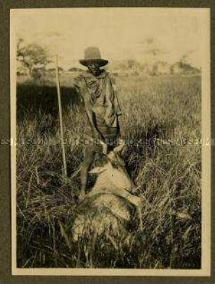 Afrikaner mit einer erlegten Elenantilope