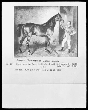Reitpferd mit Reitknecht