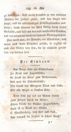 Der Eichbaum.