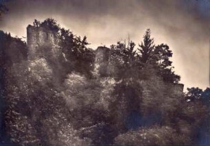 Diemerstein, Ruine. Südseite