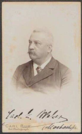Weber, Carl Emil, Nationalliberale