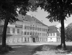 Mittelflügel