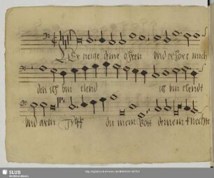 [Stoltzer, Thomas:] Herr neige deine Ohren und erhöre mich
