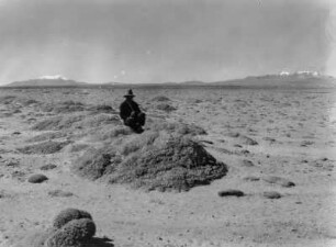 Landschaft der Pampa (Südamerikareise 1926-1929)