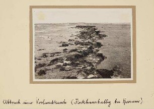 Westküste - Abbruchkante Finkhaushallig