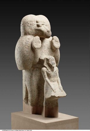 Statue des Gottes Thot als Pavian mit dem König Amenophis III. in Beterhaltung