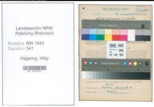 Entnazifizierung Willy Hilgering , geb. 16.09.1900 (Maler)