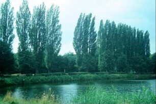 Großer Teich und Pappelallee